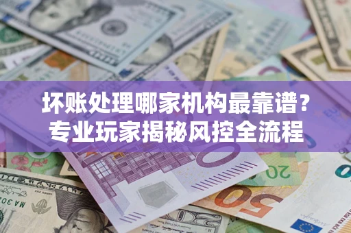 武汉坏账处理哪家机构最靠谱？专业玩家揭秘风控全流程