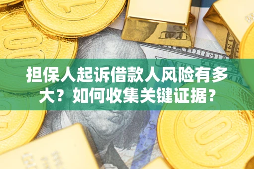 武汉担保人起诉借款人风险有多大？如何收集关键证据？