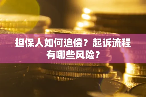 武汉担保人如何追偿？起诉流程有哪些风险？