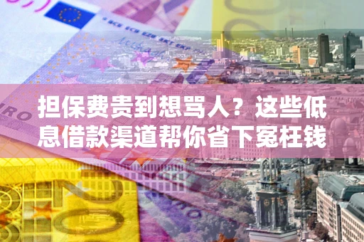 武汉担保费贵到想骂人？这些低息借款渠道帮你省下冤枉钱
