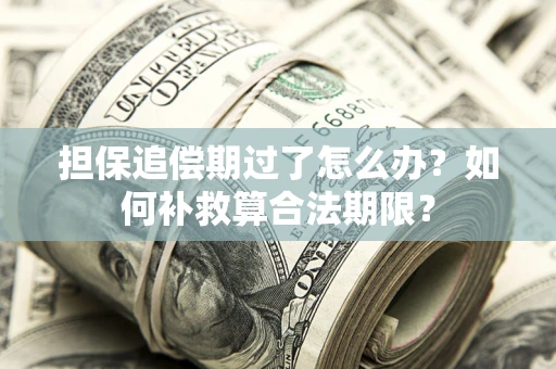 武汉担保追偿期过了怎么办？如何补救算合法期限？