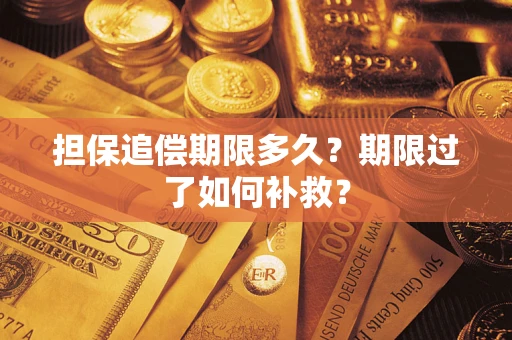 武汉担保追偿期限多久？期限过了如何补救？