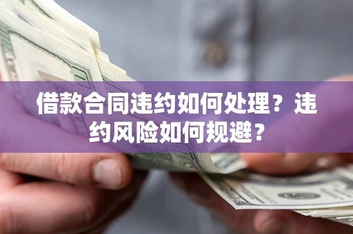 武汉借款合同违约如何处理？违约风险如何规避？