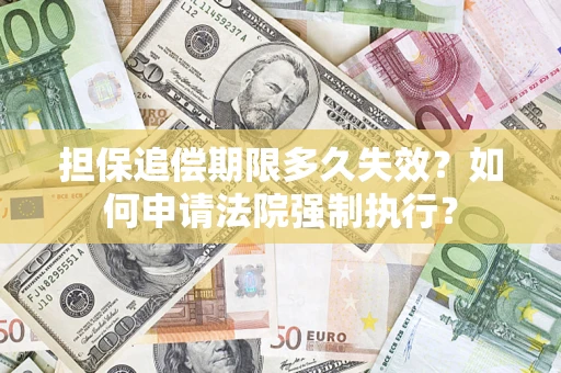 武汉担保追偿期限多久失效？如何申请法院强制执行？