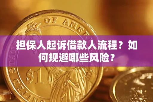 武汉担保人起诉借款人流程？如何规避哪些风险？