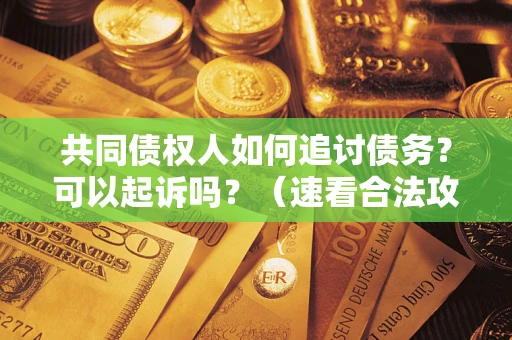 武汉共同债权人如何追讨债务？可以起诉吗？（速看合法攻略）