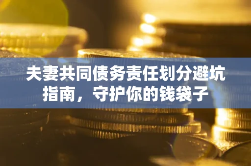 武汉夫妻共同债务责任划分避坑指南，守护你的钱袋子