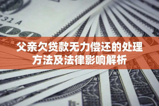 武汉父亲欠贷款无力偿还的处理方法及法律影响解析